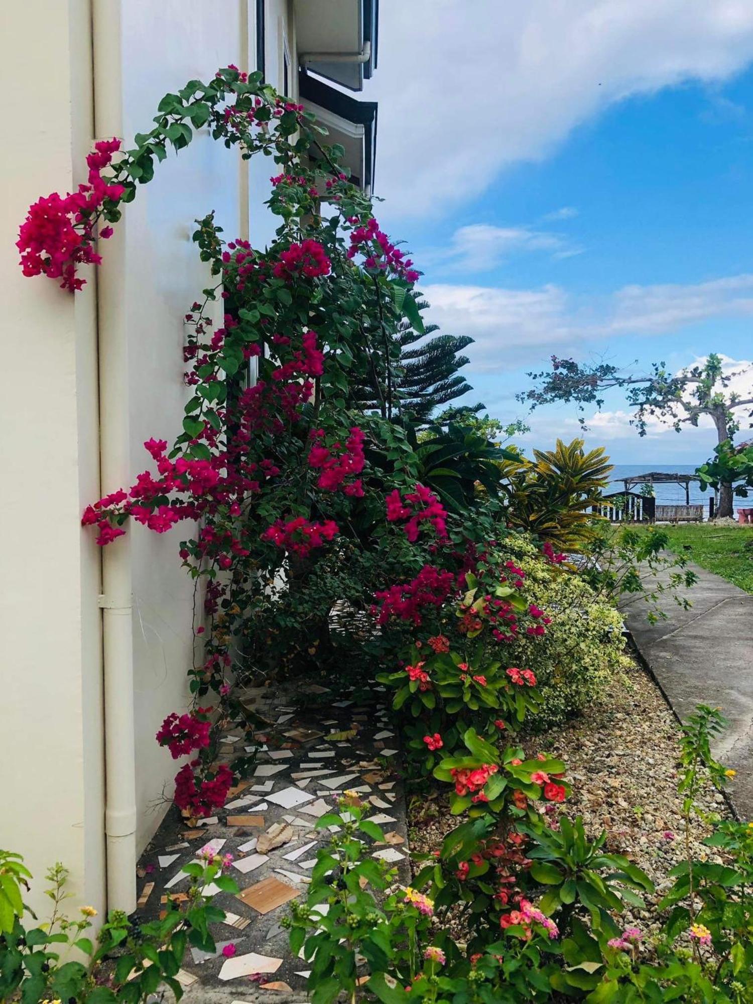 D'S Oceanview Beach Resort Siquijor Exterior foto