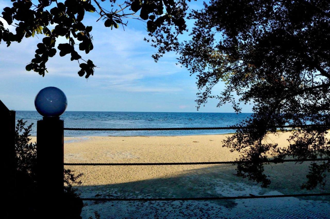 D'S Oceanview Beach Resort Siquijor Exterior foto